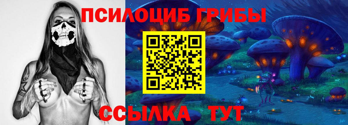 Анжеро-Судженск  Псилоцибиновые грибы мицелий  Галлюциногенные грибы Psilocybe  Вход с VPN 